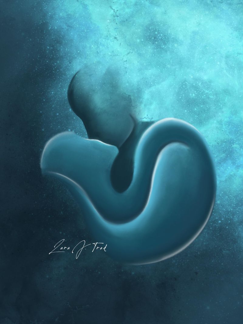 May's full moon - a Digital Art by LJ